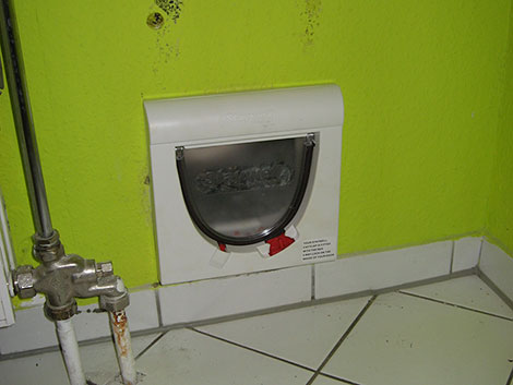 Katzenklappe eingebaut